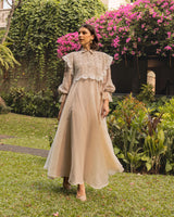 DBBA9E_Light Brown