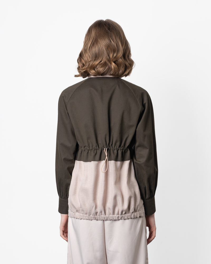 252610_Olive