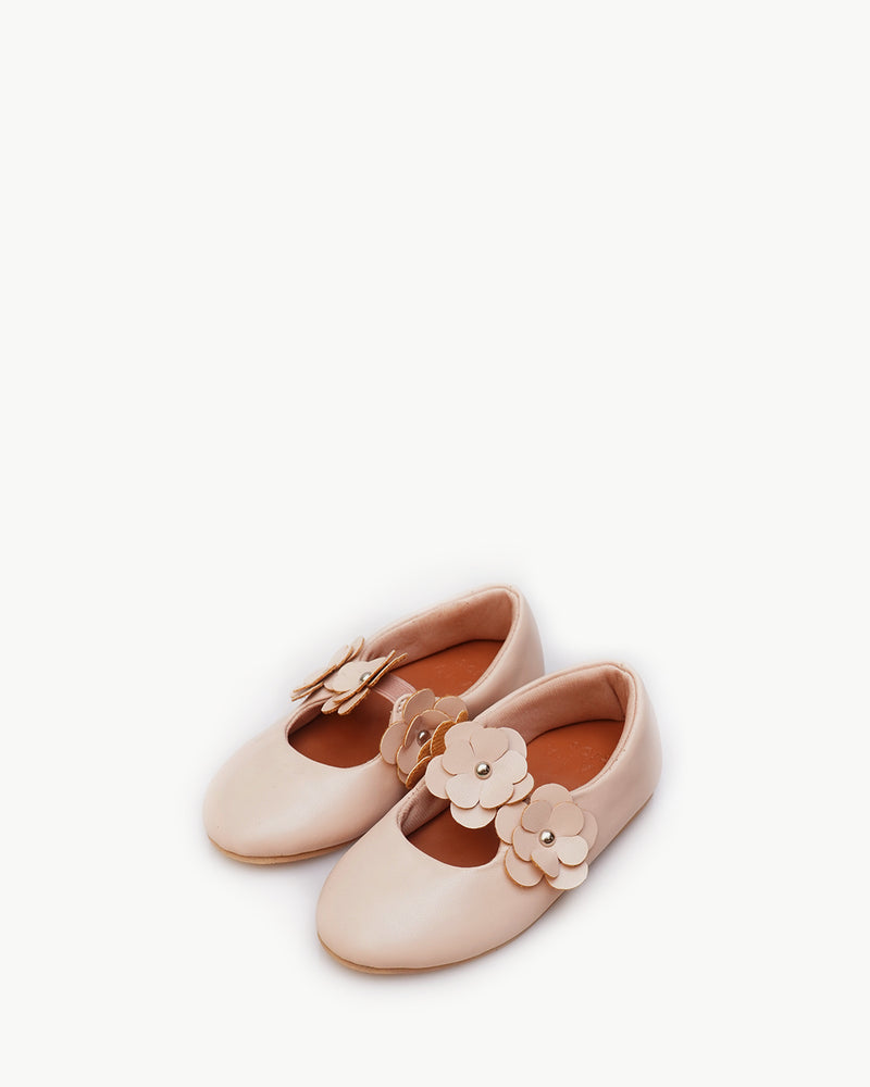 DDBCAA_Beige